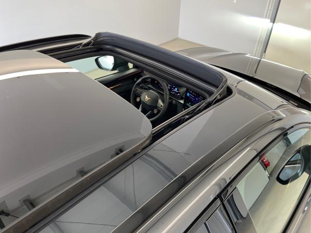 Cupra / Terramar / Grau / / / 4Drive Pano+AKEBONO+Matrix+AHK+Stdhz+20 Zoll