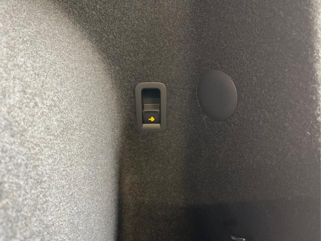 Cupra / Terramar / Schwarz / / / 4Drive Leder+Pano+AKEBONO+Matrix+AHK+Stdhz+20 Zoll