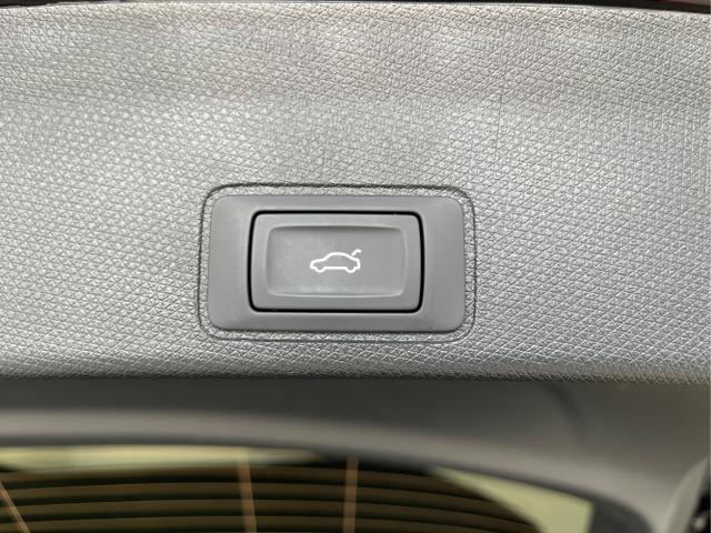 Cupra / Terramar / Schwarz / / / 4Drive Leder+Pano+AKEBONO+Matrix+AHK+Stdhz+20 Zoll
