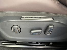 Cupra Terramar VZ 4Drive Leder+Pano+AKEBONO+Matrix+AHK+Stdhz+20 Zoll 