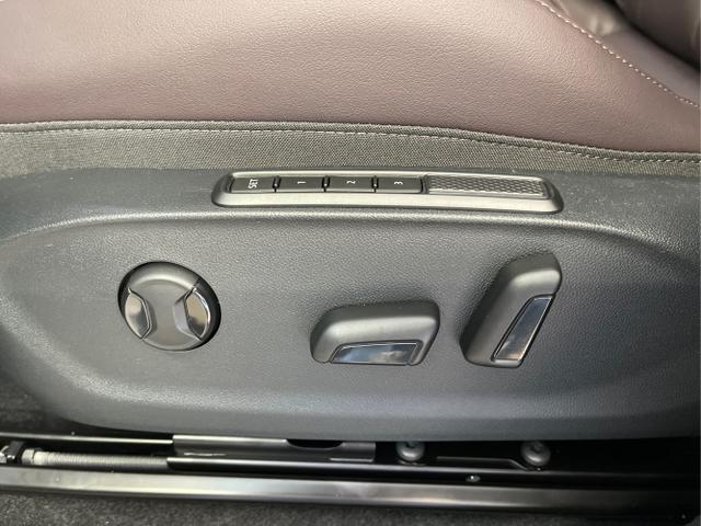 Cupra / Terramar / Grau / / / 4Drive Leder+Pano+AKEBONO+Matrix+AHK+Stdhz+20 Zoll