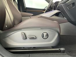 Cupra Terramar VZ 4Drive Leder+Pano+AKEBONO+Matrix+AHK+Stdhz+20 Zoll 