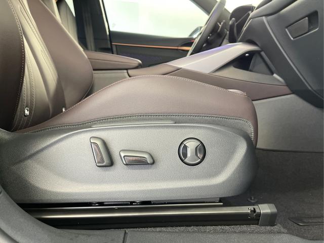 Cupra / Terramar / Grau / / / 4Drive Leder+Pano+AKEBONO+Matrix+AHK+Stdhz+20 Zoll