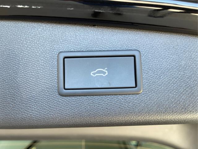 Cupra / Leon Sportstourer / / / / 