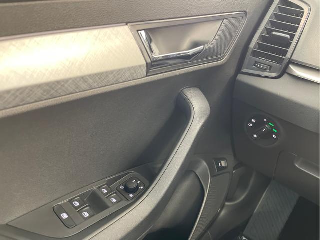 Skoda / Karoq / Blau / / / 150PS DSG AHK+Kessy
