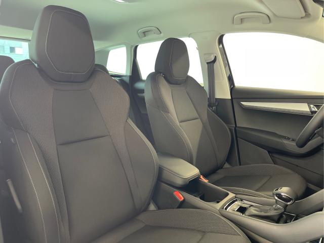 Skoda / Karoq / Blau / / / 150PS DSG AHK+Kessy