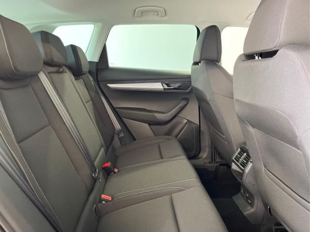 Skoda / Karoq / Blau / / / 150PS DSG AHK+Kessy
