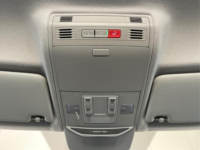 Skoda / Fabia / Blau / / / 115PS App Connect