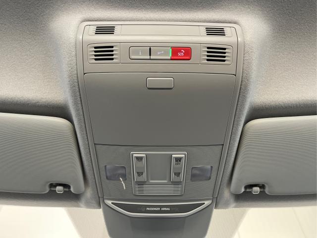 Skoda / Fabia / Grau / / / 115PS App Connect