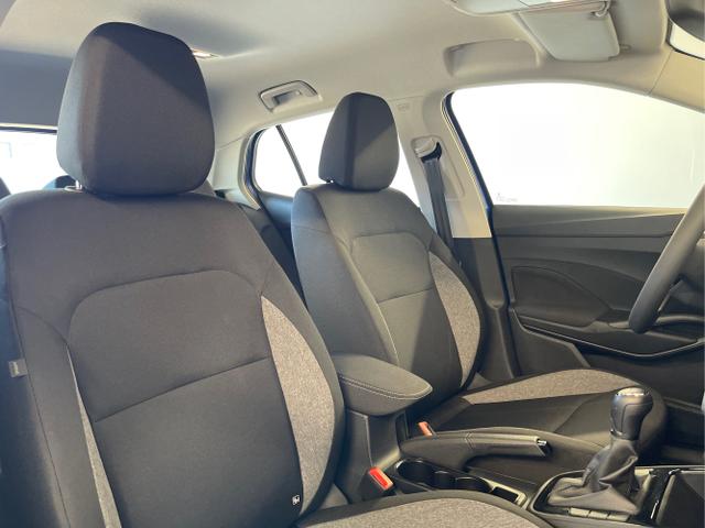 Skoda / Fabia / Grau / / / 115PS App Connect