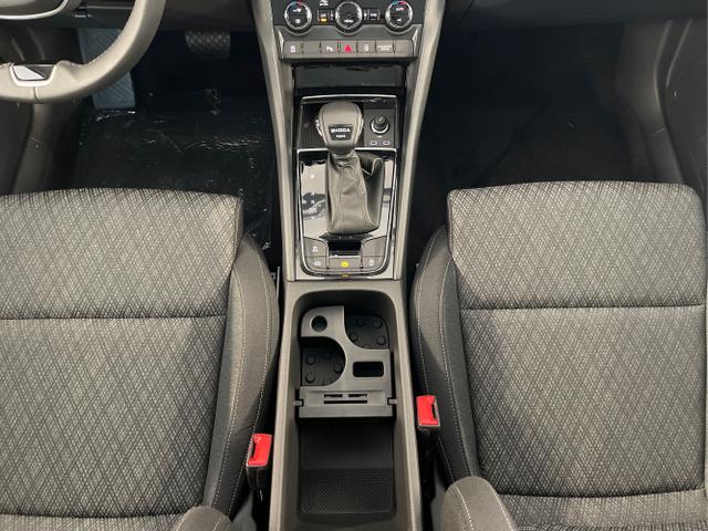 Skoda / Karoq / Grau / / / 150PS TDI DSG 4x4 AHK+Navi+ACC+Kamera+Sitzheiz+eHeck+GV5