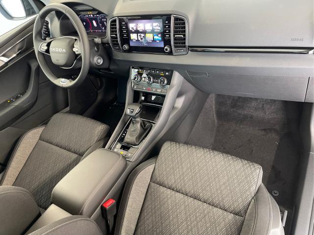 Skoda / Karoq / Grau / / / 150PS TDI DSG 4x4 AHK+Navi+ACC+Kamera+Sitzheiz+eHeck+GV5