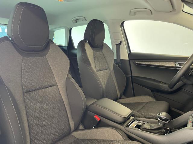 Skoda / Karoq / Grau / / / 150PS TDI DSG 4x4 AHK+Navi+ACC+Kamera+Sitzheiz+eHeck+GV5