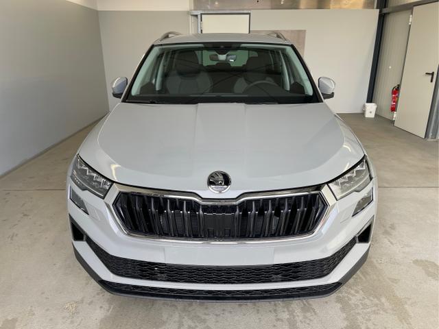 Skoda / Karoq / Grau / / / 150PS TDI DSG 4x4 AHK+Navi+ACC+Kamera+Sitzheiz+eHeck+GV5