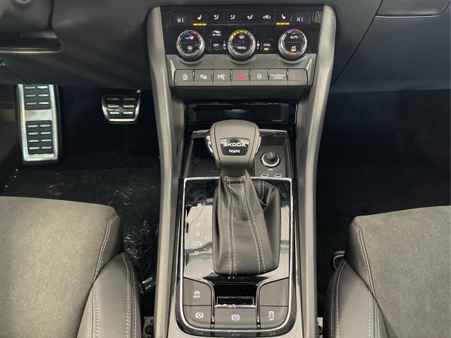 Skoda / Karoq / Blau / / / TSI 4x4 360°+19 Zoll+Navi+AHK