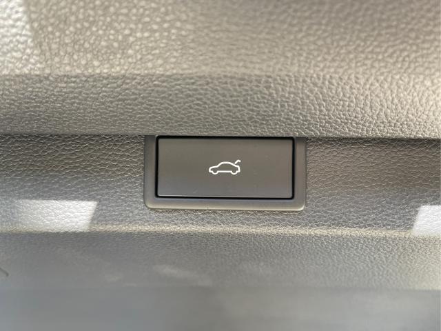 Skoda / Karoq / Blau / / / TSI 4x4 360°+19 Zoll+Navi+AHK