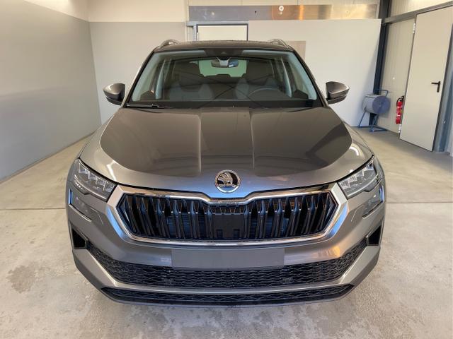 Skoda / Karoq / Grau / / / 150PS TDI DSG 4x4 AHK+Navi+ACC+Kamera+Sitzheiz+eHeck+GV5