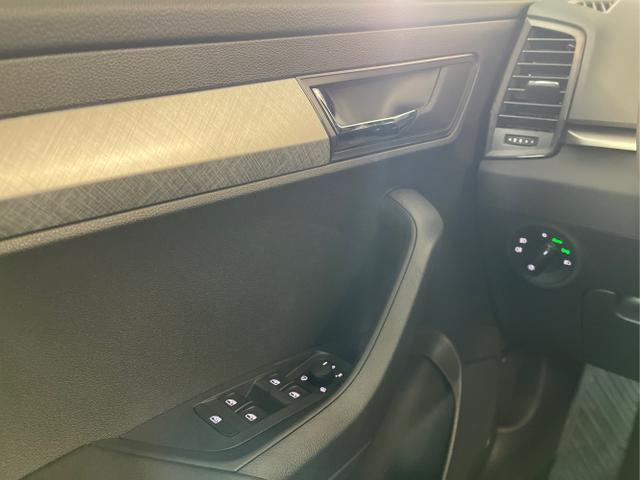 Skoda / Karoq / Grau / / / 150PS DSG AHK+Kamera+ACC+Kessy+Kamera+ParkPilot vo+hi+App