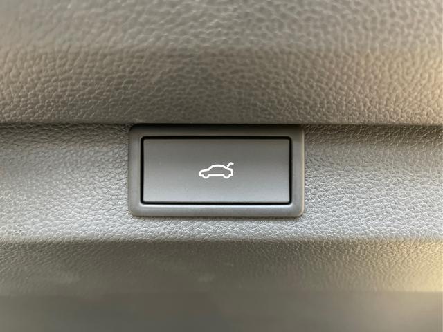 Skoda / Karoq / Blau / / / TDI 4x4 AHK+360&deg;+Alu19+Navi+Matrix+Winter-Paket