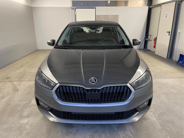 Skoda / Fabia / Grau / / / 95PS AHK+Sitzheizung+Lenkradheizung