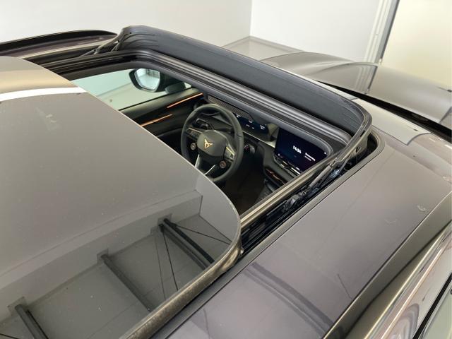 Cupra / Terramar / Violett / / / 265PS DSG 4Drive Sthz+Sennheiser+AHK+Alu20+Matrix+Pano+Navi