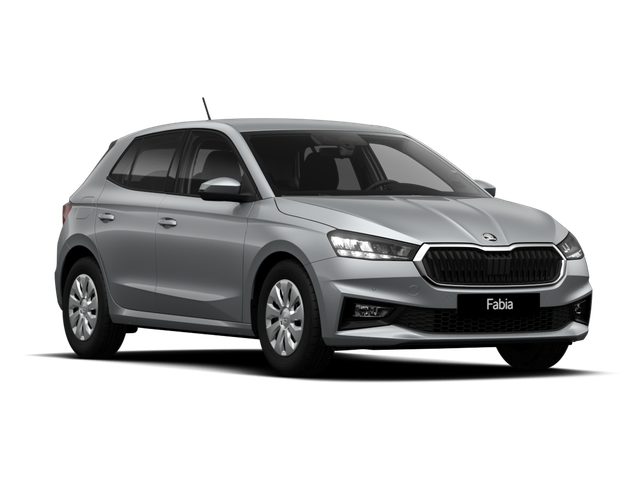 Skoda Fabia - Selection 1.0 TSI Kamera+Keyless+Climatronic+Sitzheiz+Sunset+Lenkradheiz