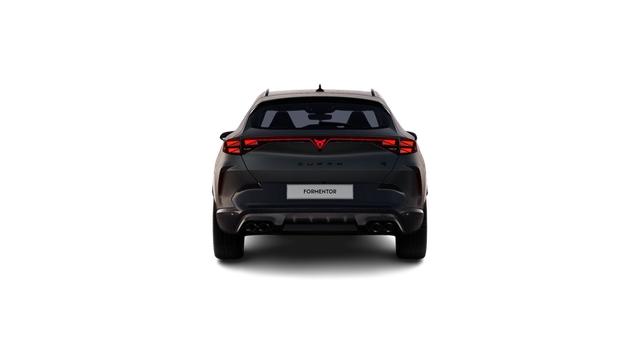 Cupra Formentor VZ 2.0 TSI 7-Gang-DSG 4Drive 