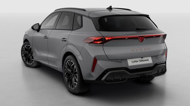 Cupra Terramar VZ 2.0 TSI 7-Gang-DSG 4Drive 
