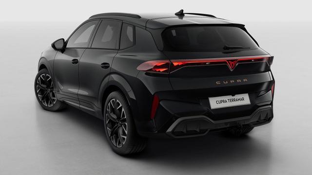 Cupra Terramar VZ 2.0 TSI 7-Gang-DSG 4Drive 