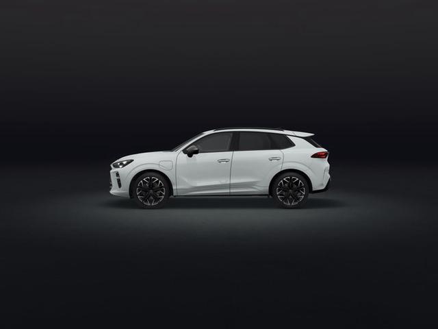 Cupra Terramar e-HYBRID 1.5 150 kW (204 PS) 6-Gang-DSG 
