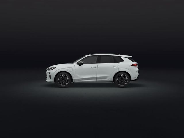 Cupra Terramar e-HYBRID 1.5 150 kW (204 PS) 6-Gang-DSG 
