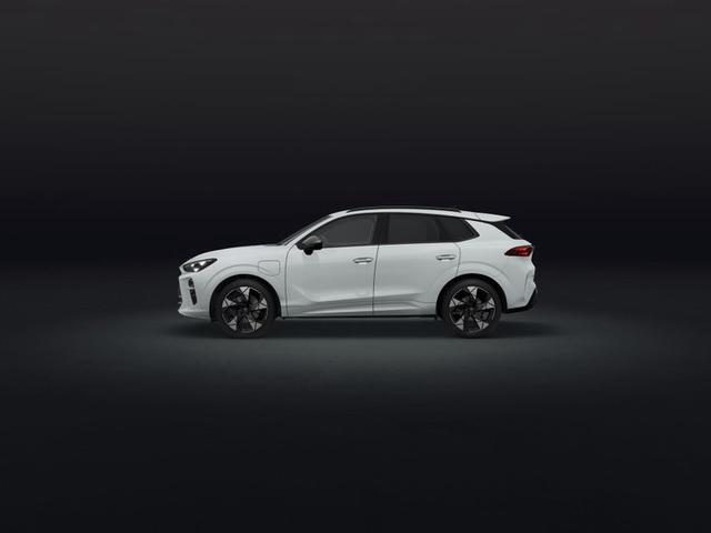 Cupra Terramar - e-HYBRID 1.5 150 kW (204 PS) 6-Gang-DSG