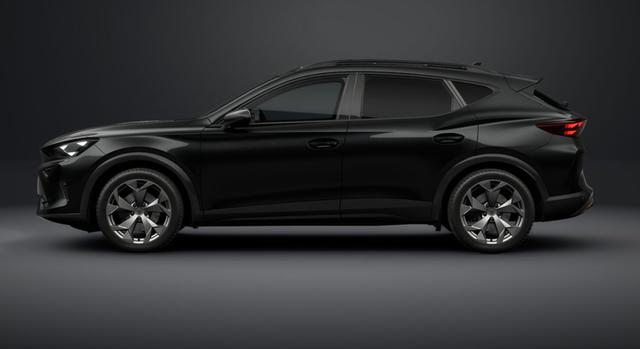 Cupra Formentor VZ 2.0 TSI 7-Gang-DSG 4Drive 