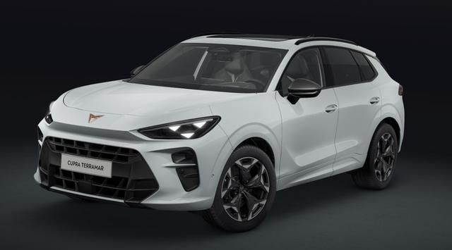 Cupra Terramar - VZ 2.0 TSI 195 kW (265 PS) 7-Gang DSG 4Drive