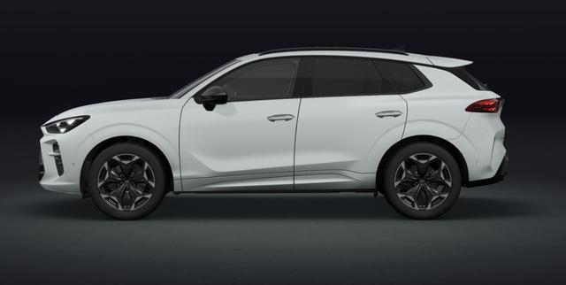 Cupra Terramar - VZ 2.0 TSI 195 kW (265 PS) 7-Gang DSG 4Drive