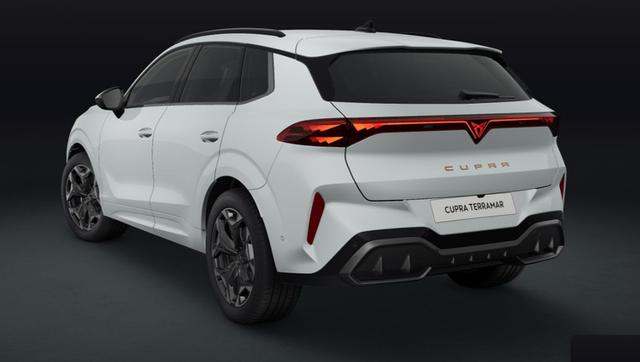 Cupra Terramar VZ 2.0 TSI 195 kW (265 PS) 7-Gang DSG 4Drive 