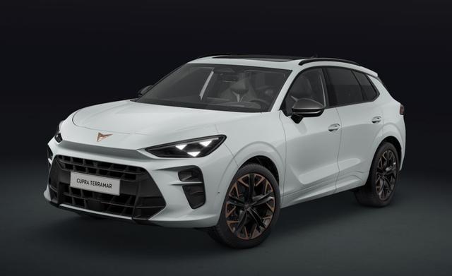 Cupra Terramar - VZ 2.0 TSI 195 kW (265 PS) 7-Gang DSG 4Drive