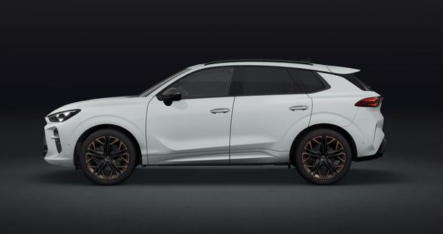 Cupra Terramar VZ 2.0 TSI 195 kW (265 PS) 7-Gang DSG 4Drive 