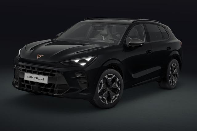 Cupra Terramar - VZ 2.0 TSI 195 kW (265 PS) 7-Gang DSG 4Drive