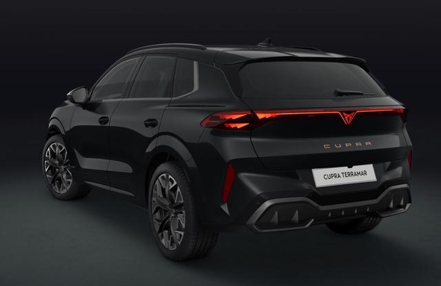 Cupra Terramar VZ 2.0 TSI 195 kW (265 PS) 7-Gang DSG 4Drive 
