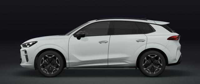Cupra Terramar - VZ 2.0 TSI