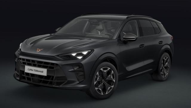 Cupra Terramar - VZ 2.0 TSI