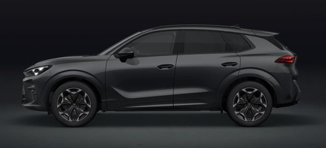 Cupra Terramar - VZ 2.0 TSI