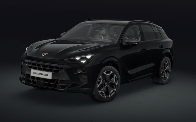 Cupra Terramar - VZ 2.0 TSI
