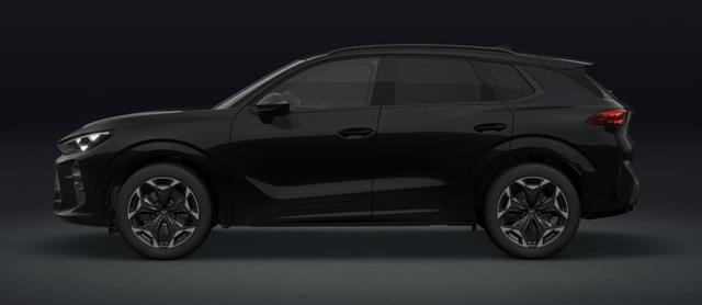 Cupra Terramar - VZ 2.0 TSI