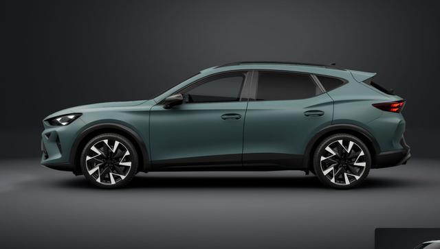 Cupra Formentor VZ 2.0 TSI 7-Gang-DSG 4Drive 