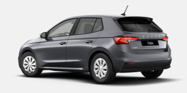 Skoda Fabia Selection 1.0 TSI 7-Gang-DSG 