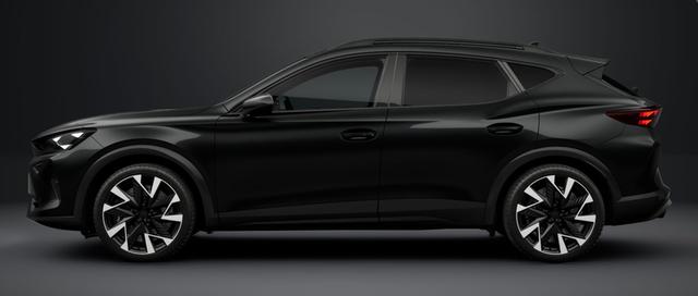 Cupra Formentor VZ 2.0 TSI 7-Gang-DSG 4Drive 