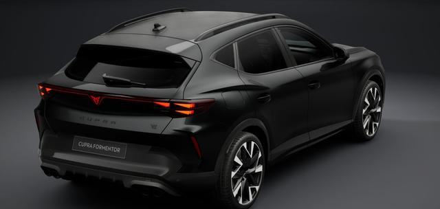 Cupra Formentor VZ 2.0 TSI 7-Gang-DSG 4Drive 