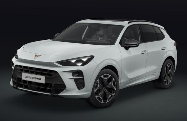 Cupra Terramar - VZ 2.0 TSI 7-Gang-DSG 4Drive